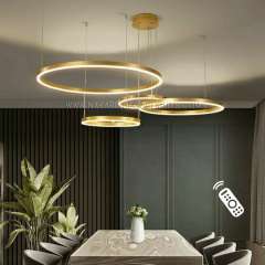 Circular LED Pendant Lights 0